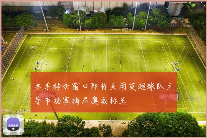 冬季转会窗口即将关闭英超球队主导市场塞梅尼奥成标王
