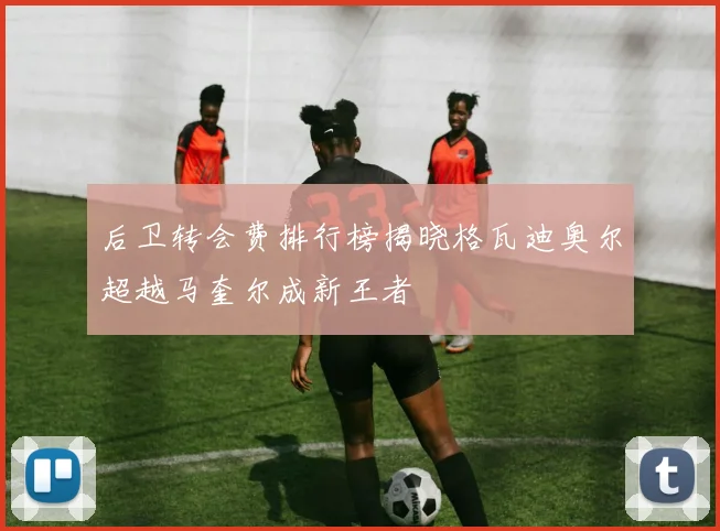 后卫转会费排行榜揭晓格瓦迪奥尔超越马奎尔成新王者